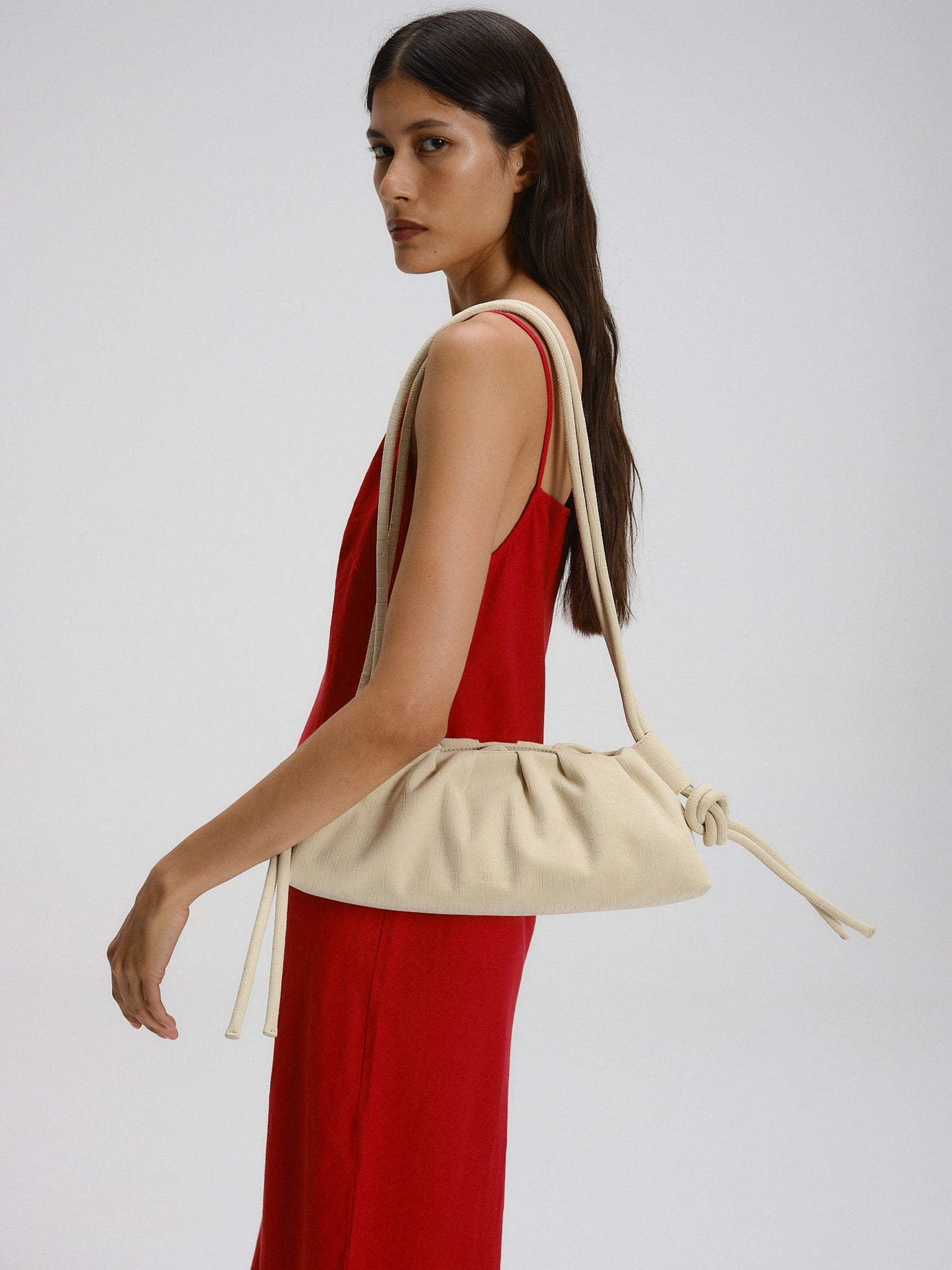 Dumpling Bag